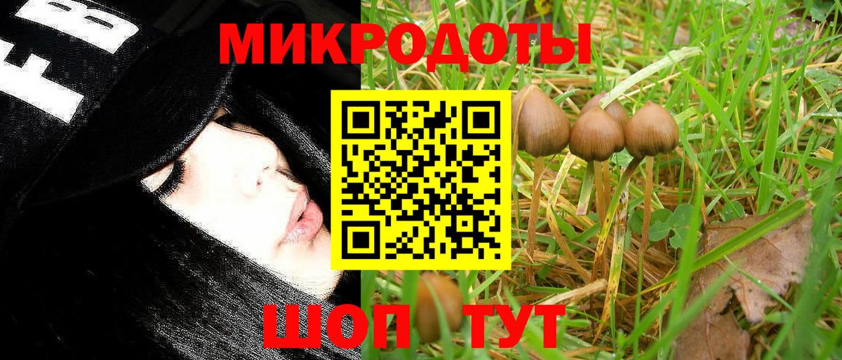 Псилоцибиновые грибы Psilocybine cubensis Губкин